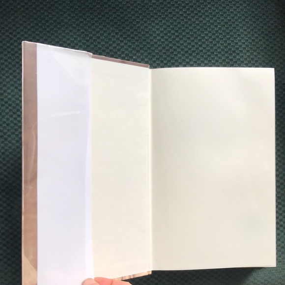 “The marriage of opposites“ A novel by Alice Hoffman - Picture 5 of 16